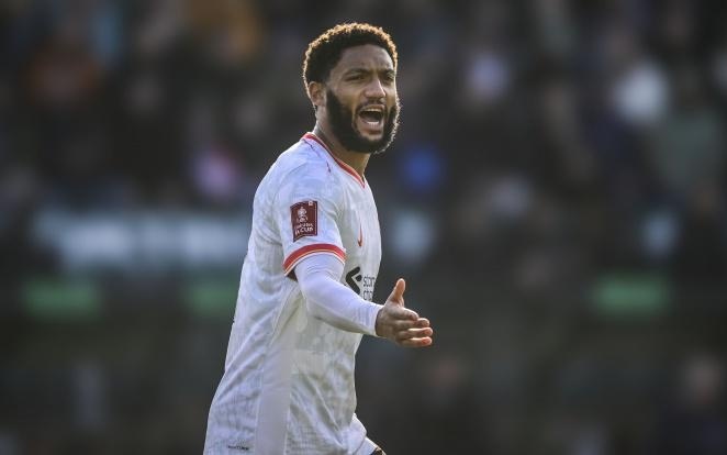 有其独特特 有其独特特