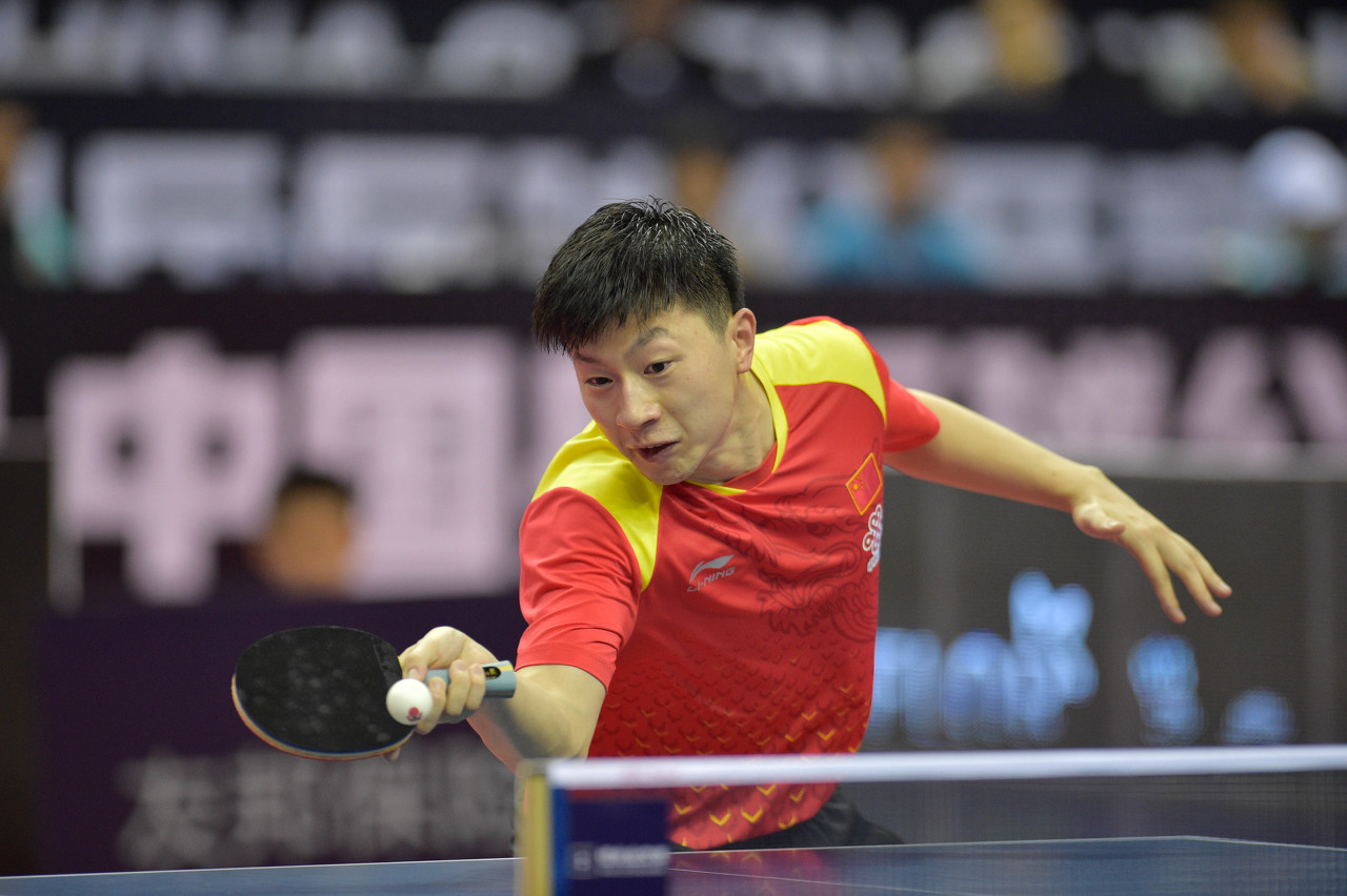 是夺冠的秘 是夺冠的秘