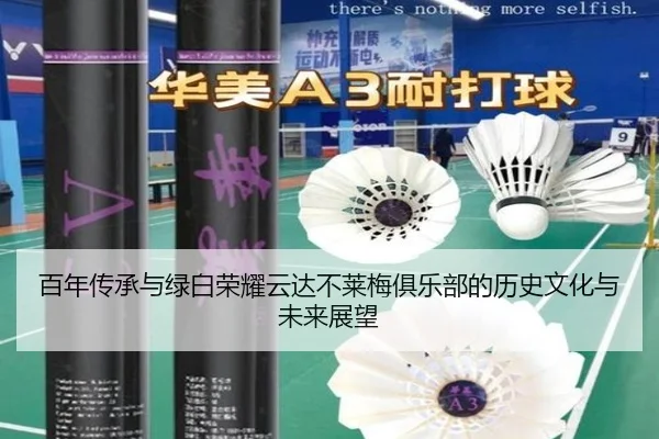 百年传承与绿白荣耀云达不莱梅俱乐部的历史文化与未来展望